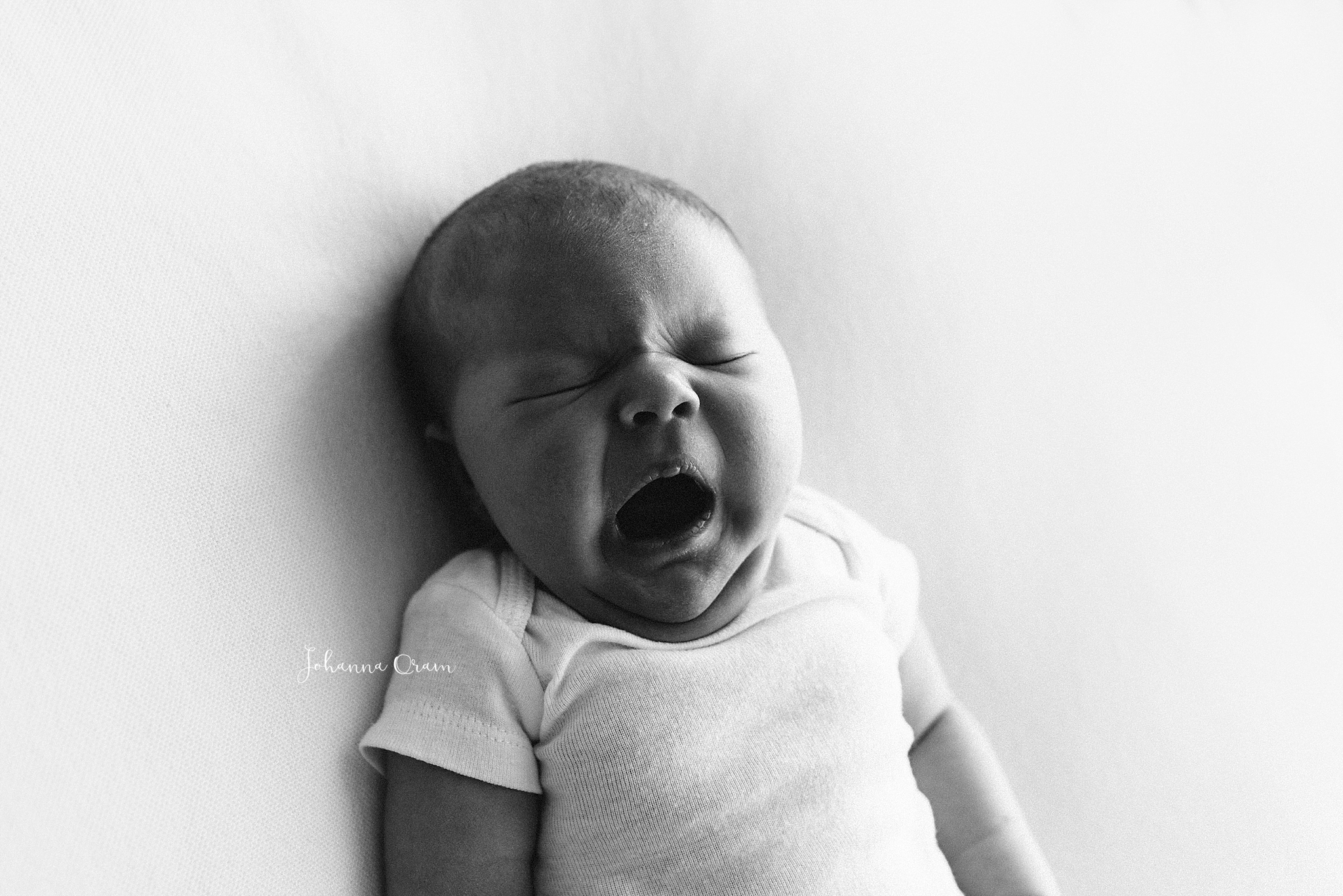 2018-05-01_0011.jpg 2018-05-01_0011.jpg